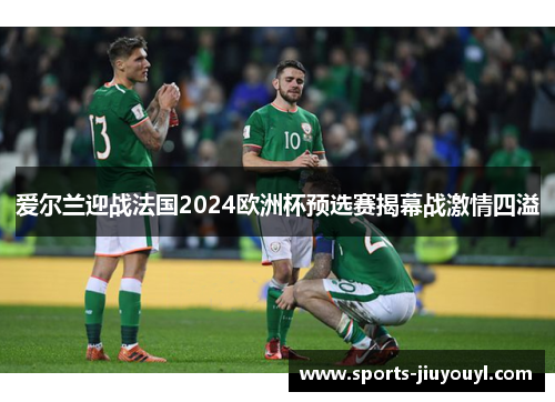 爱尔兰迎战法国2024欧洲杯预选赛揭幕战激情四溢