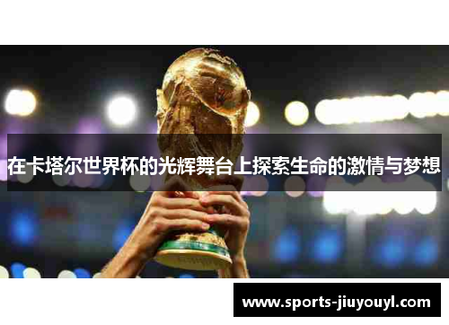 在卡塔尔世界杯的光辉舞台上探索生命的激情与梦想