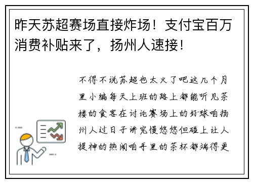 昨天苏超赛场直接炸场！支付宝百万消费补贴来了，扬州人速接！